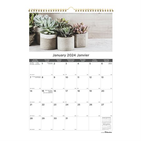Succulent Plants Wall Calendar (2023)