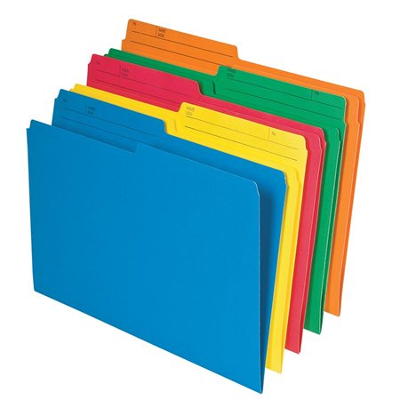 Coloured Reversible File Folders